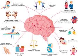 DIPLOMA IN BIO-PLASMIC MODULATION THERAPY